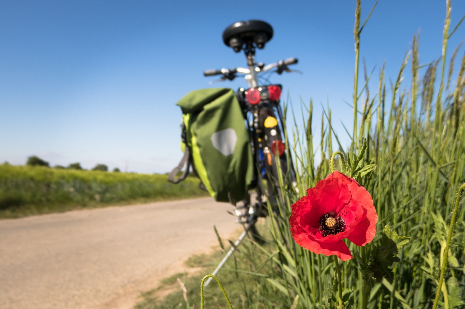 Eine Mohnblume blüht in kräftigem Rot am Wegesrand. Im Hintergrund ist ein Fahrrad mit grüner Gepäcktasche abgestellt, der Himmel ist strahlend blau und die Pflanzen am Wegesrand in einem kräftigem Grün.